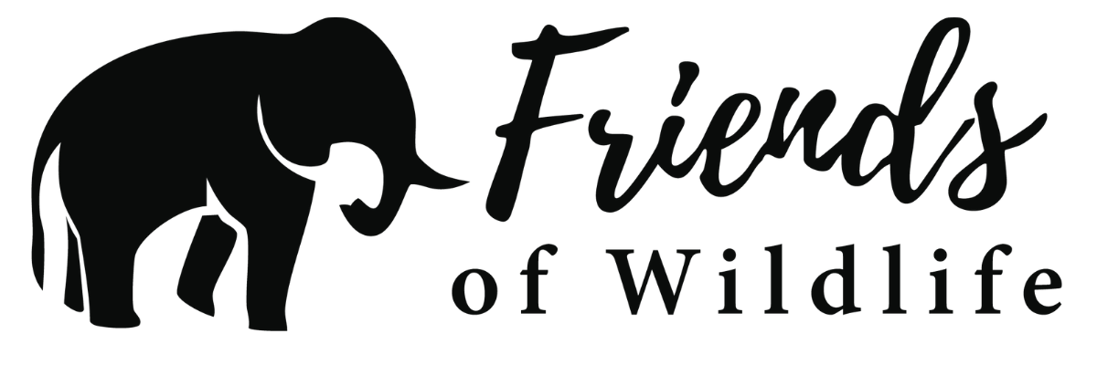 sanjeevaclientsnew (17)