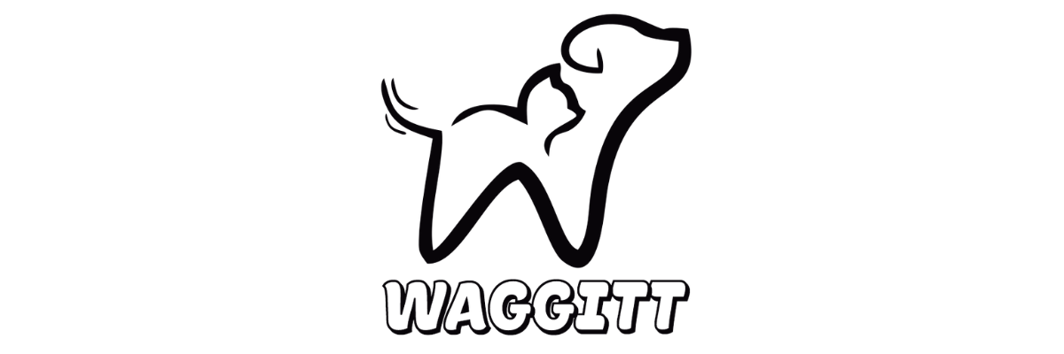 sanjeevaclientsnew (18)